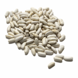 Haricot blanc - 5kg - BIO -...