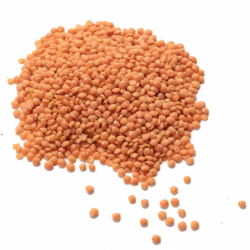 Lentille corail - 5kg - BIO...