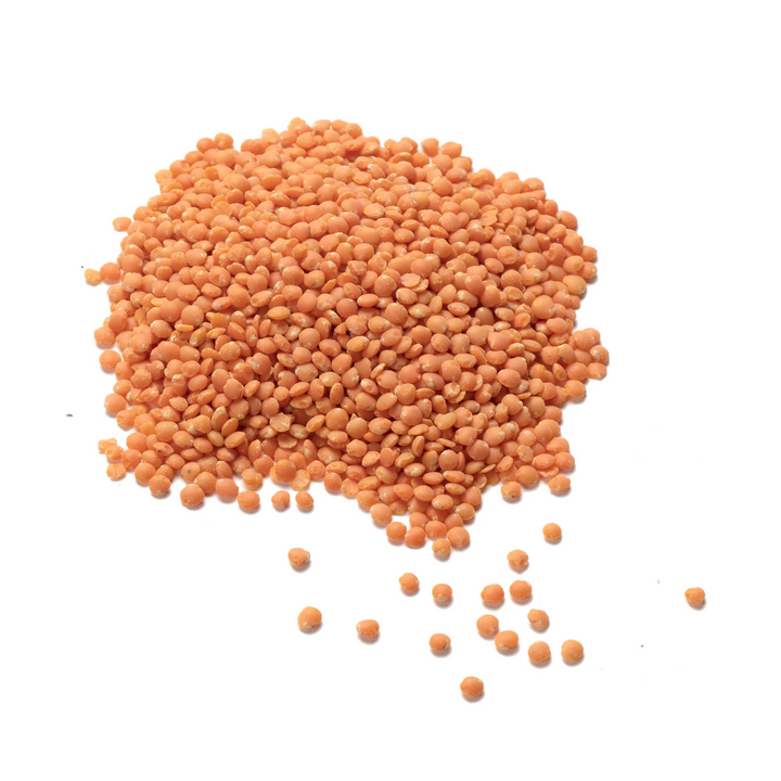 Lentille corail - 5kg - BIO - France
