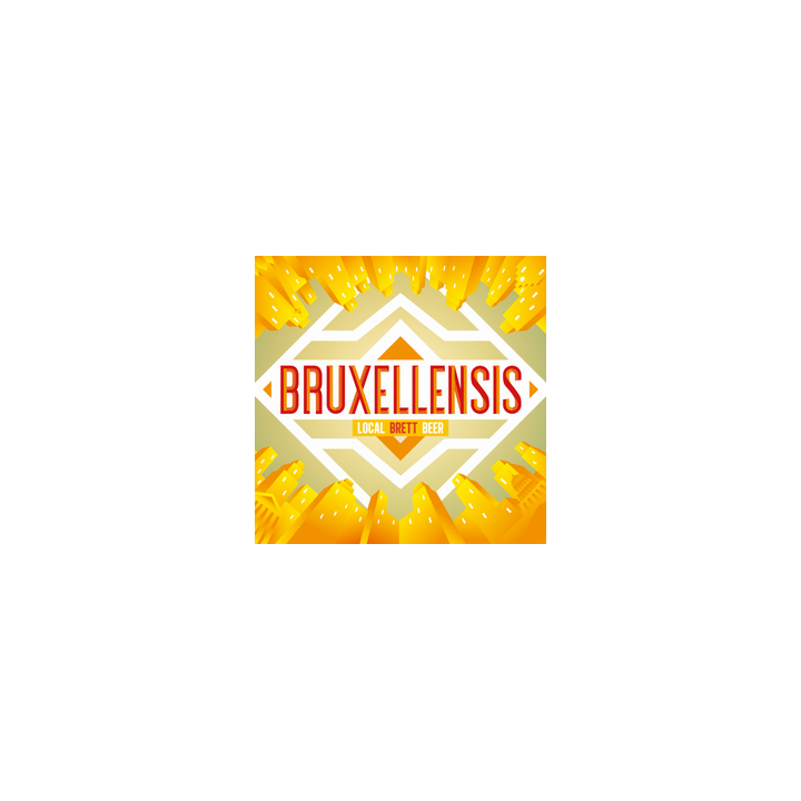 Bière - BRUXELLENSIS - 6,5% - 33cl