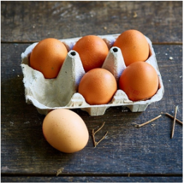c- Oeufs bio extra frais L