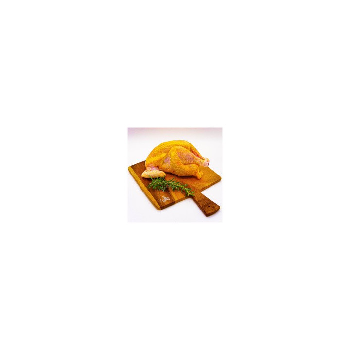 Coucou de Malines (2 kg)
