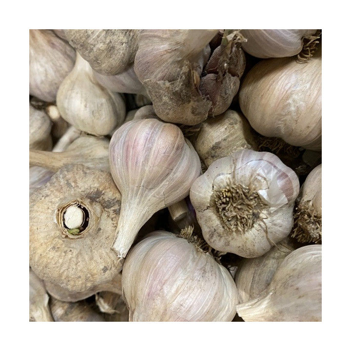 Tête d'ail - à la pce / Knoflook 100g