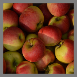 Pommes Elstar bio 1kg