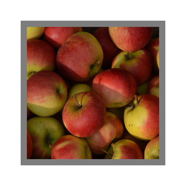 Pommes Elstar bio 1kg
