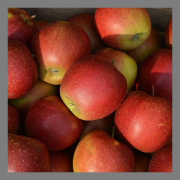 Pommes Wellant bio 1kg