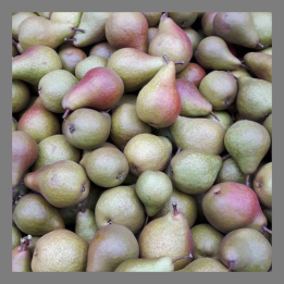 Poires Durondeau bio 1kg
