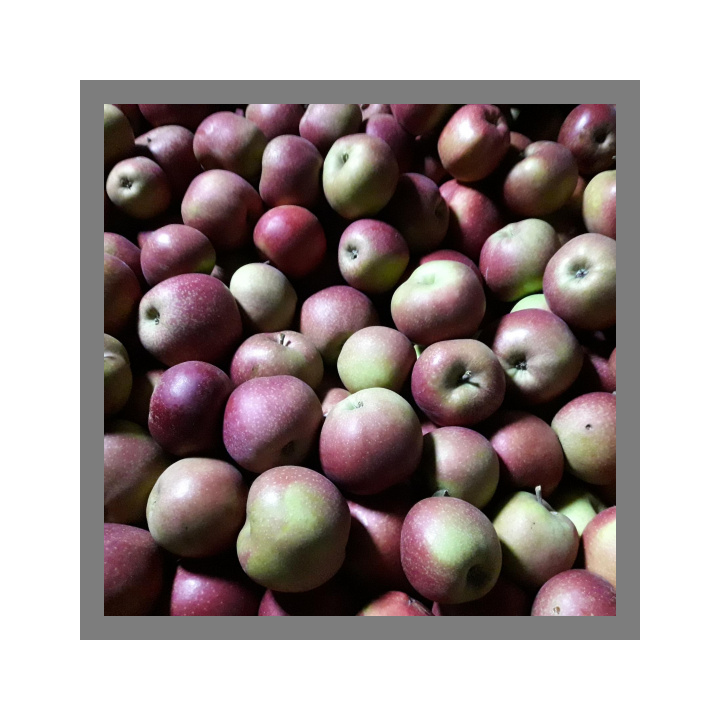 Pommes Belle de Boskoop bio 1kg