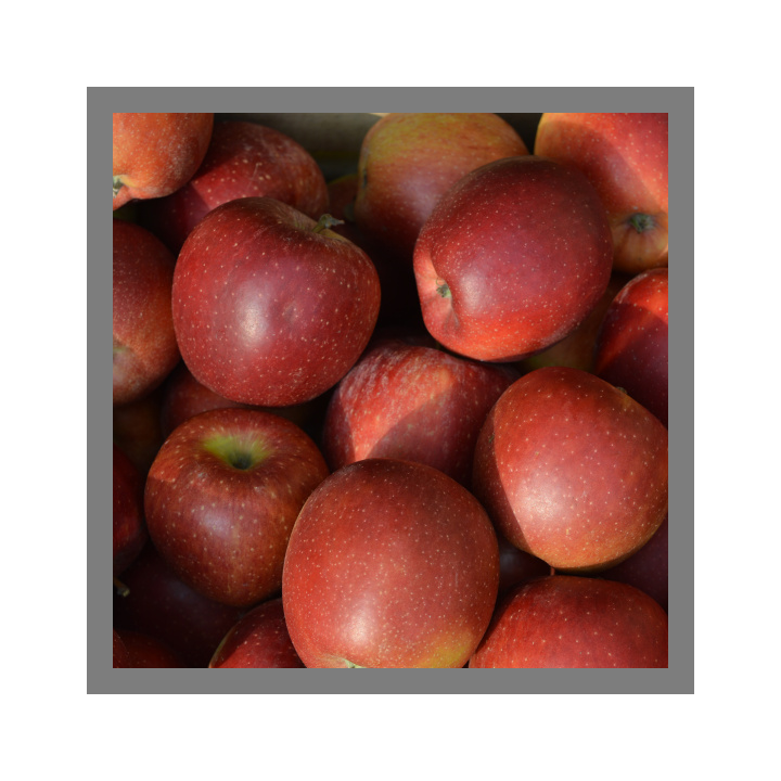Pommes Braeburn bio 1kg