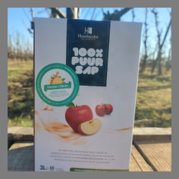 Jus de pommes-gingembre-citron 3 litre