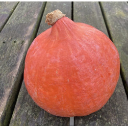 Potimarron 600g / Pompoen