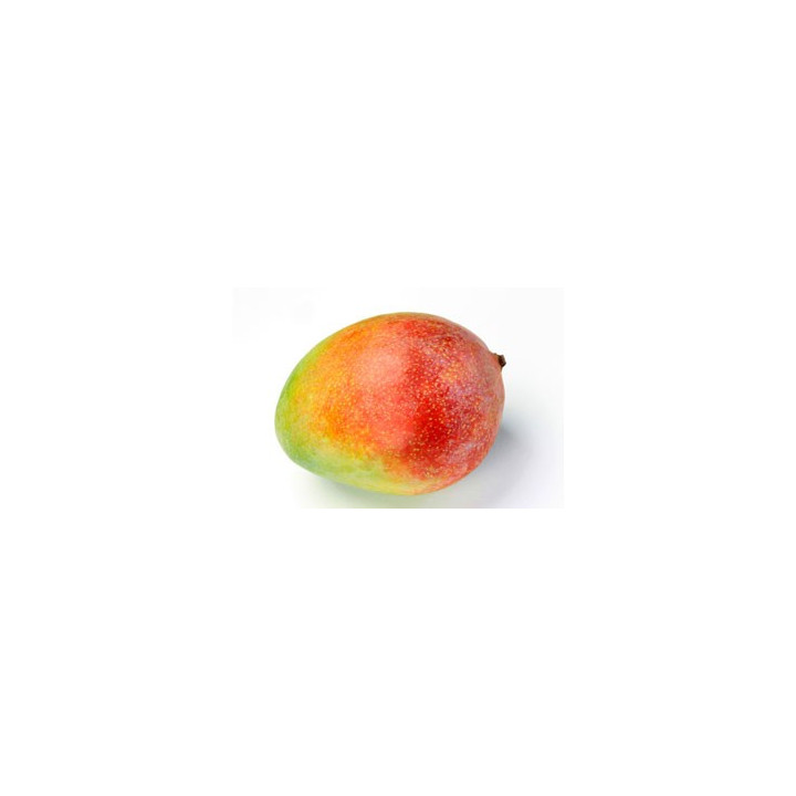 Mangue Oosten - 1pcs - BIO - ES