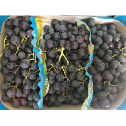 Raisin  noir Alphonse Lavalle - 1kg - bio - FR