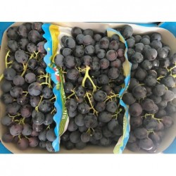 Raisin  "Garnacha" - 1kg -...