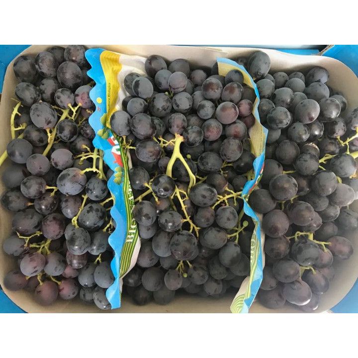 Raisin  noir Alphonse Lavalle - 1kg - bio - FR