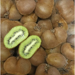 Kiwi - 1 pièce - BIO - ES