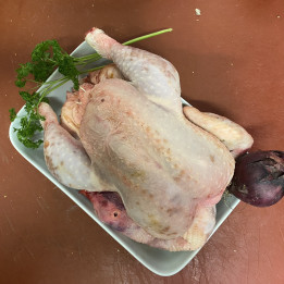 POULE – poids entre 2.5 et 2.7kg