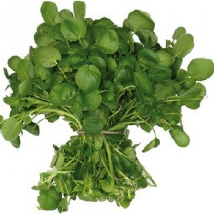 Cresson de jardin/ Barbarakers - 100g