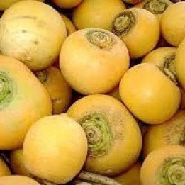 Navets jaunes/ Boterrapen - 500g