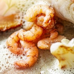 Crevettes...