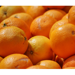 Oranges JUS Cadenera - 2kg...