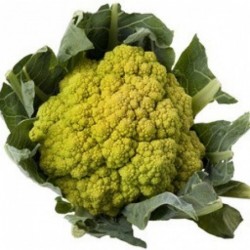 Chou-fleur vert/Groene...