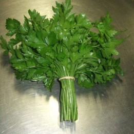 Persil plat/Platte peterselie - 100g