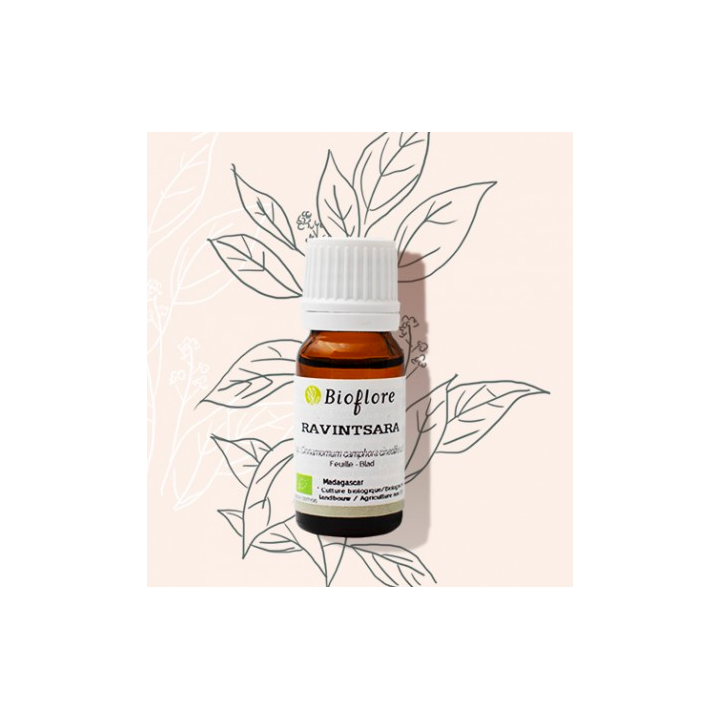 Huile essentielle - Ravinstara - 10ml