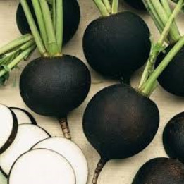 Radis noir/Rammenas - 500g