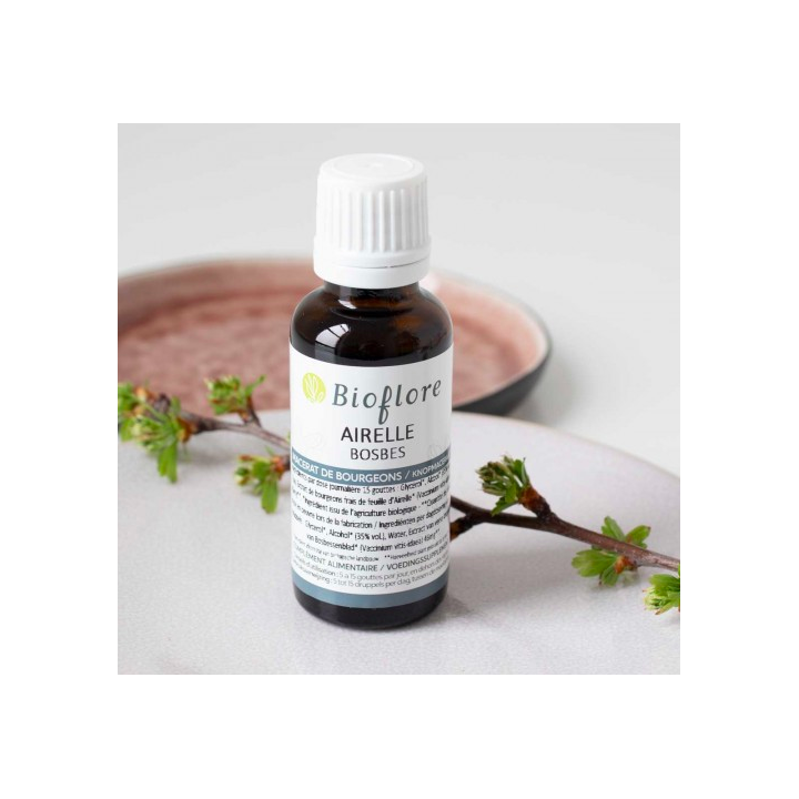 Macérats de bourgeons - airelles - 30ml