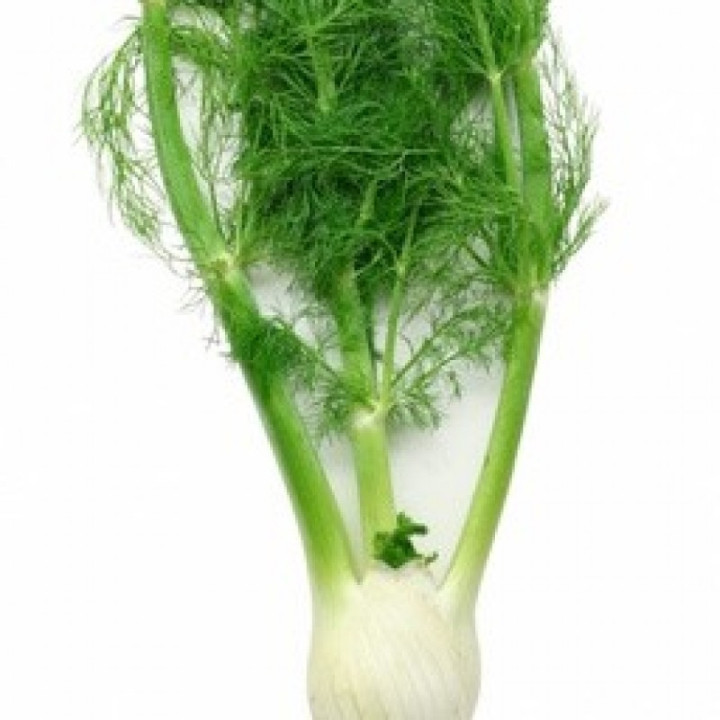 Fenouil /Venkel - 450g