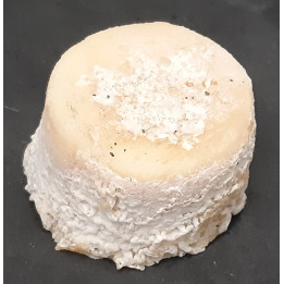 Chèvre - Crottin (40 gr)