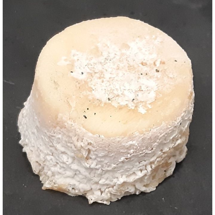 Chèvre - Crottin (40 gr)