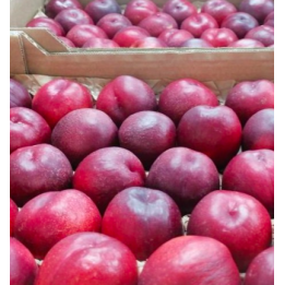 Nectarines blanches - 1kg - BIO