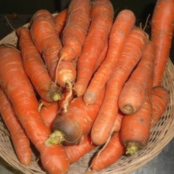 Carottes /Wortelen - 1kg