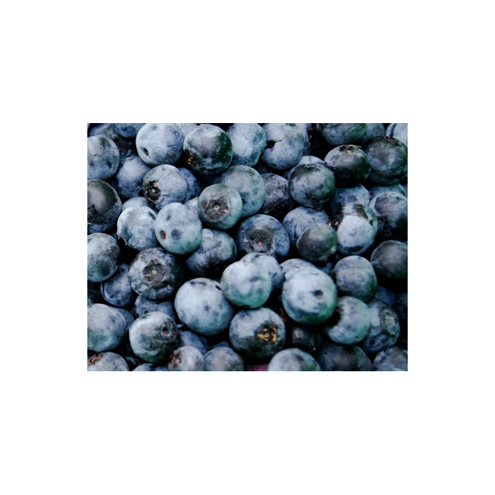 Myrtilles - 125g - BIO - Espagne