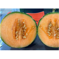 Melon - 1 pièce - BIO - ES