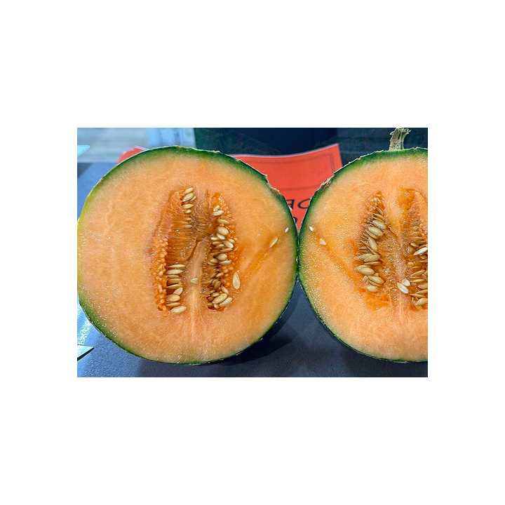 Melon - Charentais 1pcs - BIO - FR