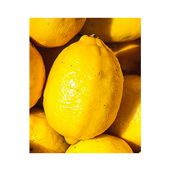 Citron - 1 PIECE - BIO -...