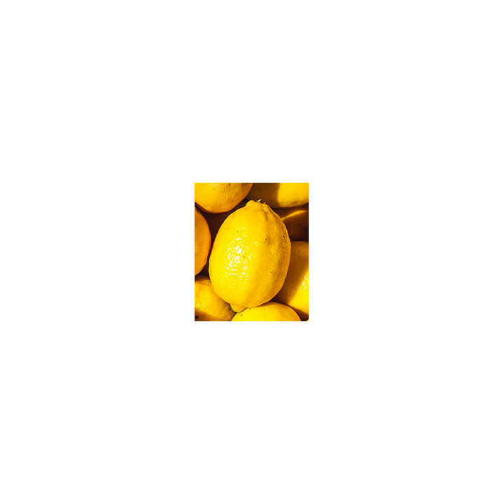 Citron - 1 PIECE - BIO - IT