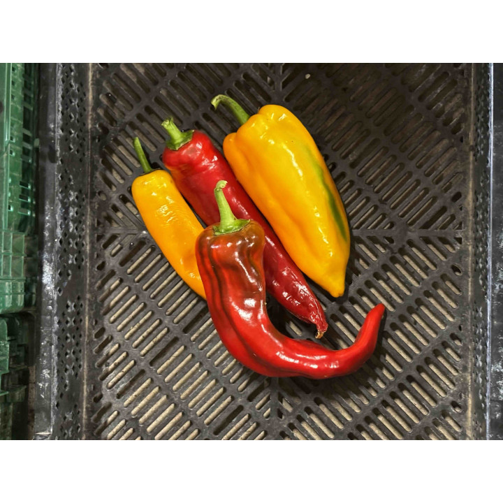 Poivrons Ramiro Bio (pièce +- 150/200gr)  