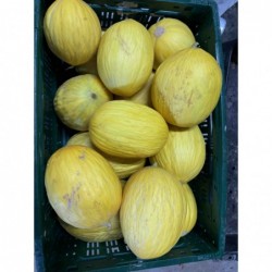 Melon Canari Bio (1,5/2kg) 
