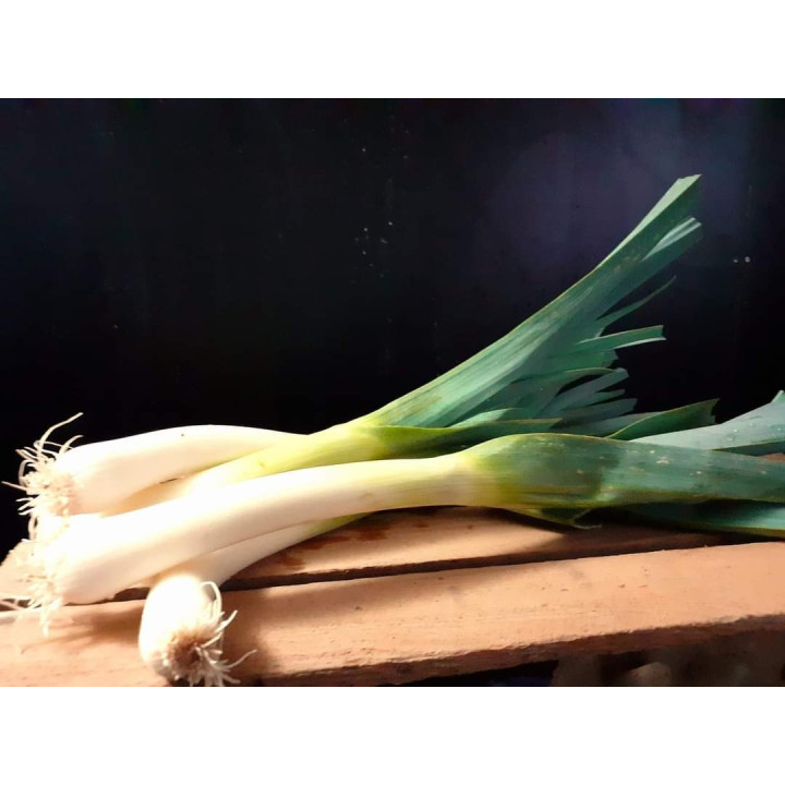 Poireaux CONGELéS 0.8kg bio