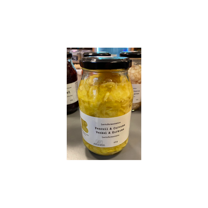 Fenouil et curcuma - BIO - 480g