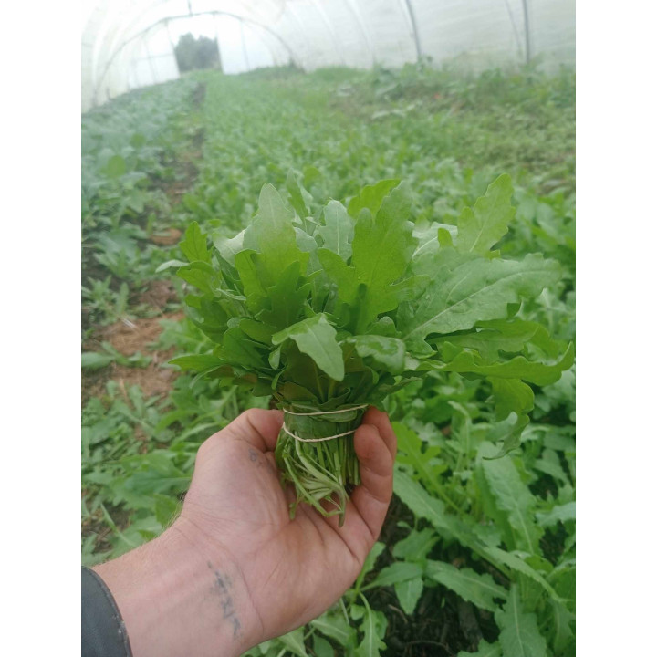 Roquette Botte Bio (+-125gr)