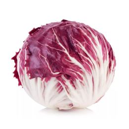 radicchio BIO
