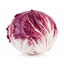 radicchio