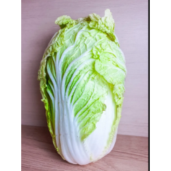 Chou chinois petit BIO