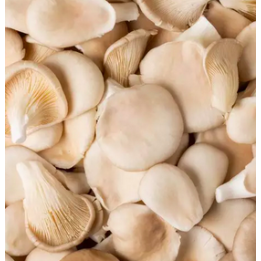 Champignons - PLEUROTES - BIO - 250g - BE