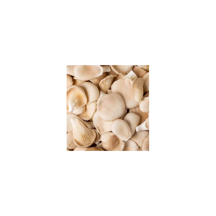Champignons - PLEUROTES - BIO - 250g - BE